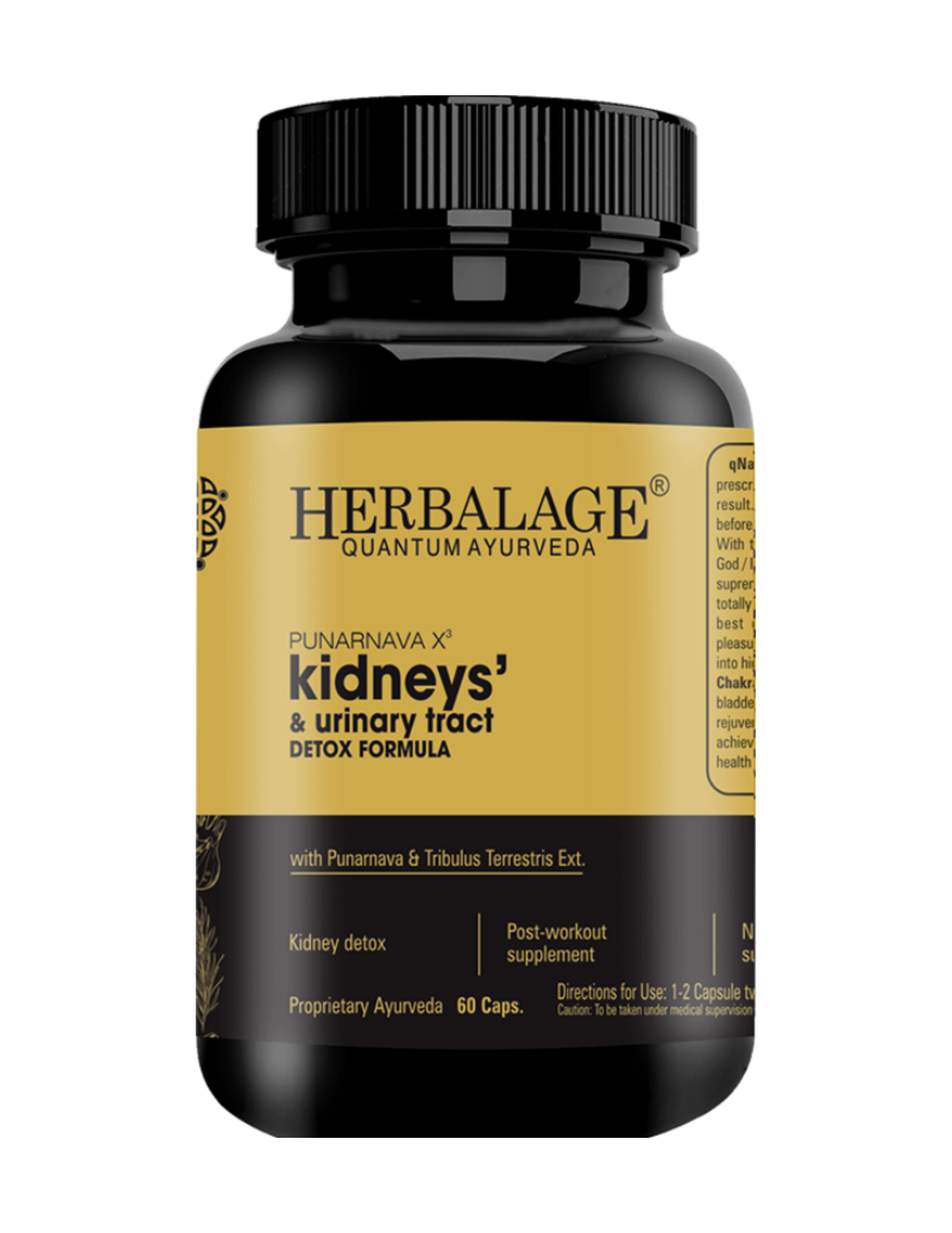 Punarnava X3 - Kidneys & Prostate Health
