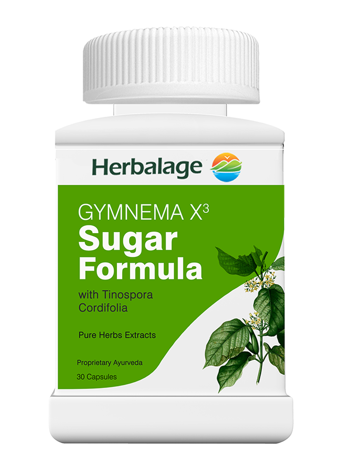 Gymnema X3 - Sugar Support