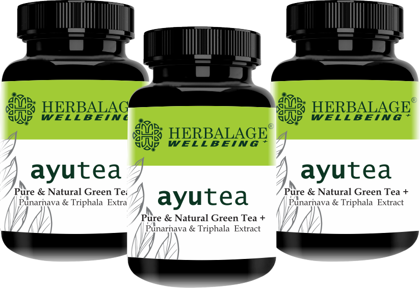 Combo_Ayu Tea Combo (2+1)